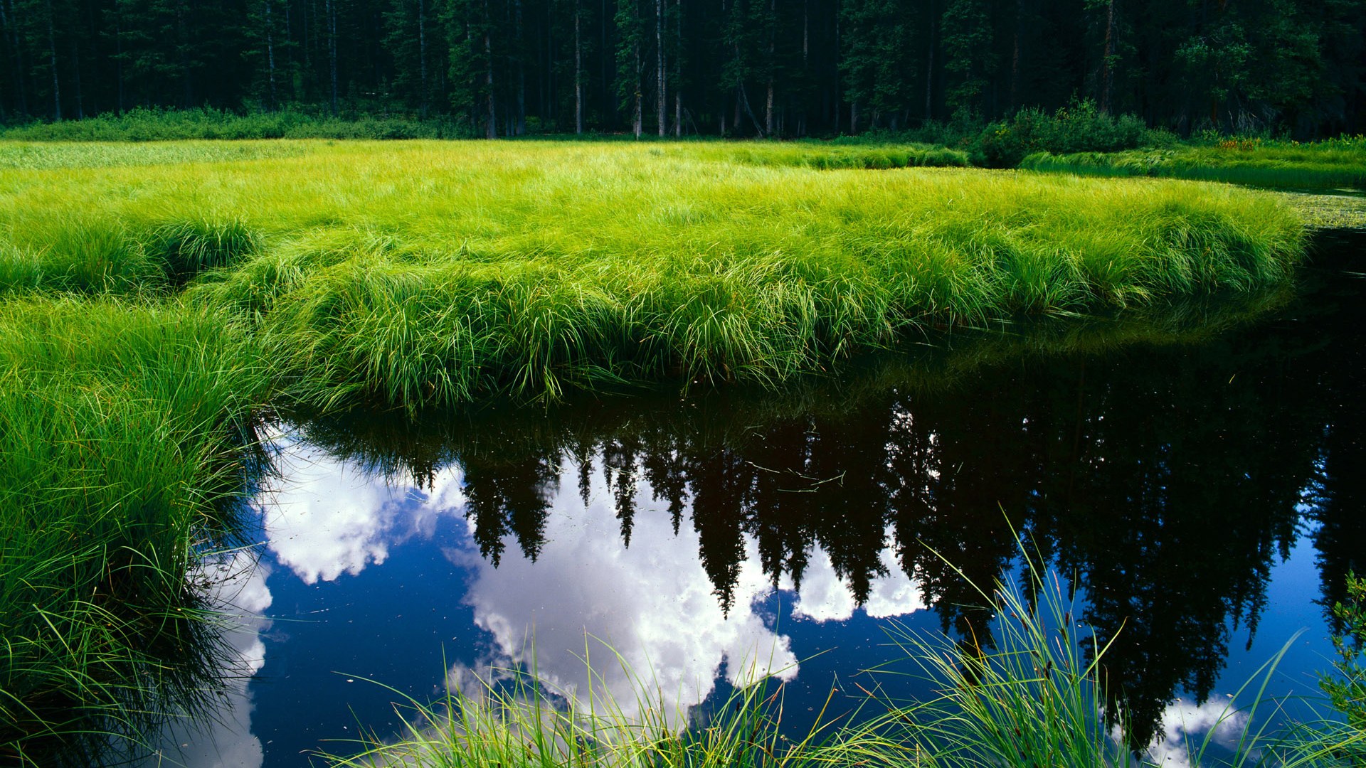 华体会下载-从沉默到轰鸣，西亚卡姆的史诗之夜与猛龙队隐藏的进化密码  第1张