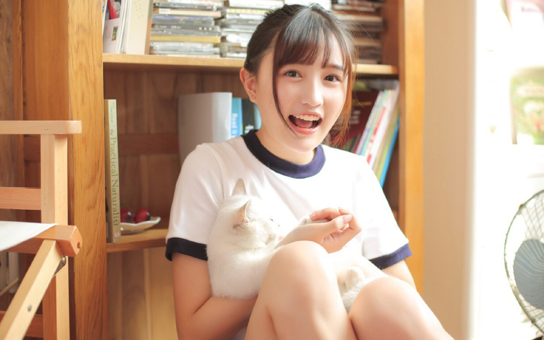 华体会-两种王者，一种掌控—辽宁纪律与保罗魔法的唯一性  第1张