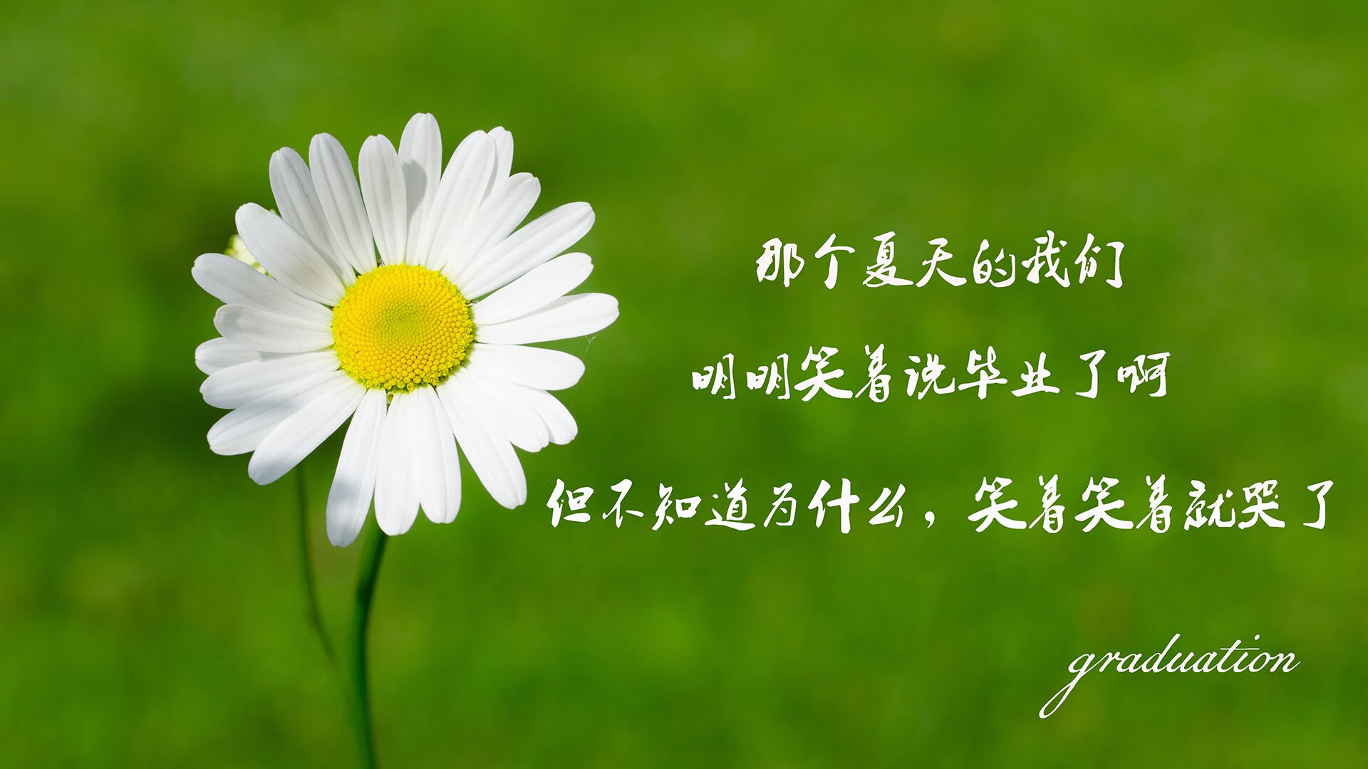 华体会网址-以下是我为你构思的文章标题和内容  第1张